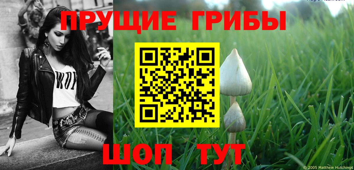 цена   Вход с VPN  Галлюциногенные грибы Psilocybine cubensis  Иваново  Псилоцибиновые грибы Cubensis 