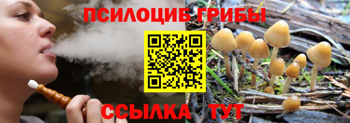 Галлюциногенные грибы Psilocybe Иваново