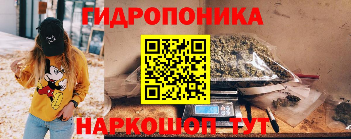 Шишки марихуана план Иваново